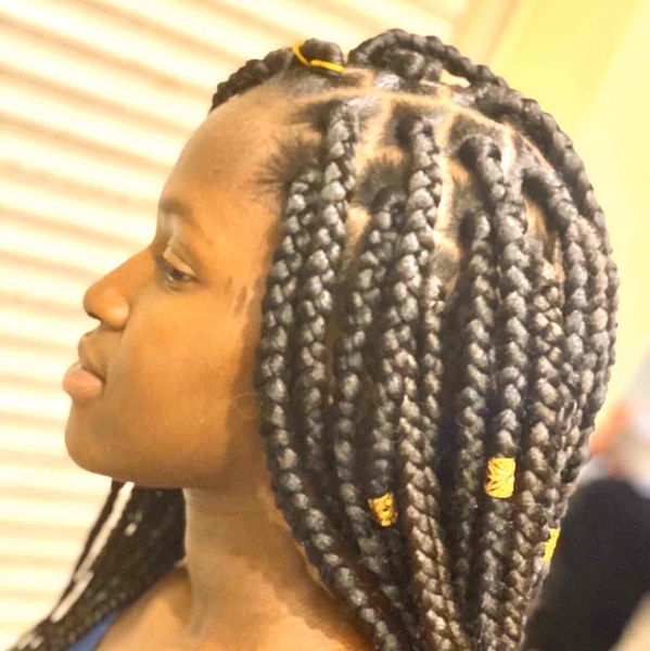 salon de coiffure afro tresse tresses box braids crochet braids vanilles tissages paris 75 77 78 91 92 93 94 95 ZWFXKLMU