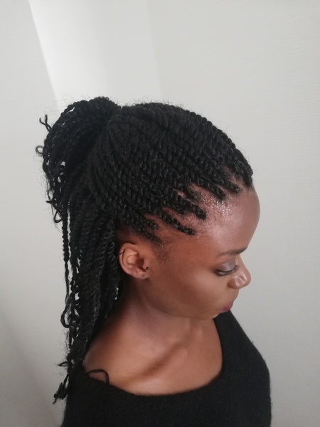 salon de coiffure afro tresse tresses box braids crochet braids vanilles tissages paris 75 77 78 91 92 93 94 95 EAMOAAFI