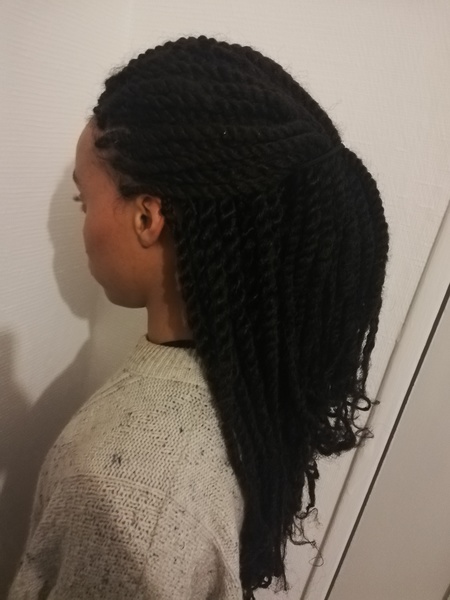 salon de coiffure afro tresse tresses box braids crochet braids vanilles tissages paris 75 77 78 91 92 93 94 95 SIOZWITH