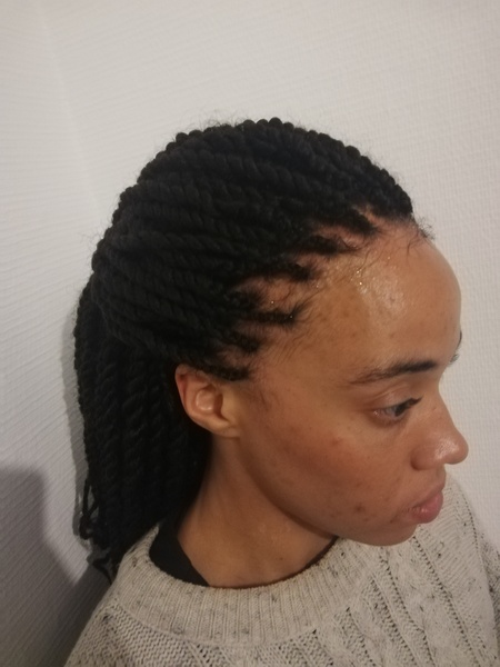 salon de coiffure afro tresse tresses box braids crochet braids vanilles tissages paris 75 77 78 91 92 93 94 95 JPECMBXM