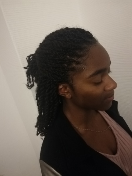 salon de coiffure afro tresse tresses box braids crochet braids vanilles tissages paris 75 77 78 91 92 93 94 95 DJBZBSNJ