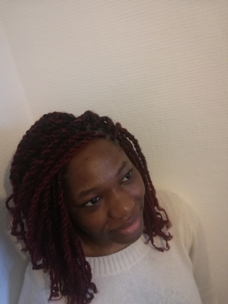 salon de coiffure afro tresse tresses box braids crochet braids vanilles tissages paris 75 77 78 91 92 93 94 95 HWWISAUZ