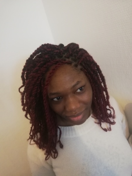 salon de coiffure afro tresse tresses box braids crochet braids vanilles tissages paris 75 77 78 91 92 93 94 95 PEKGKRYG