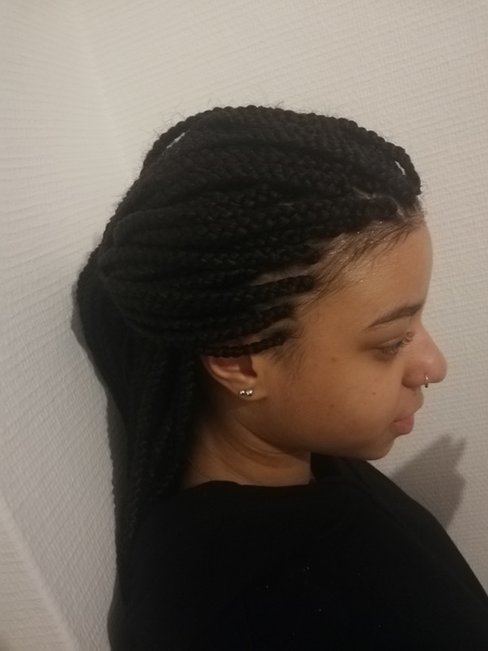 salon de coiffure afro tresse tresses box braids crochet braids vanilles tissages paris 75 77 78 91 92 93 94 95 GJXPQCIA