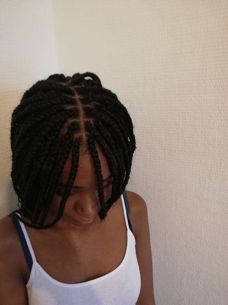 salon de coiffure afro tresse tresses box braids crochet braids vanilles tissages paris 75 77 78 91 92 93 94 95 DTFYXEVE