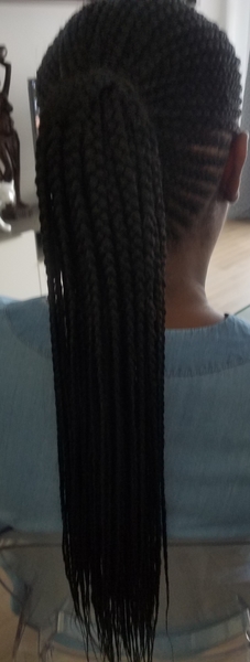 salon de coiffure afro tresse tresses box braids crochet braids vanilles tissages paris 75 77 78 91 92 93 94 95 HXMDEFNE