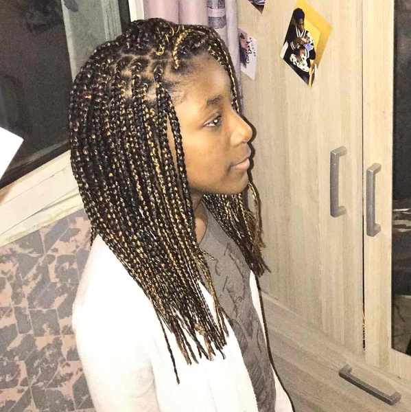 salon de coiffure afro tresse tresses box braids crochet braids vanilles tissages paris 75 77 78 91 92 93 94 95 BPFLJKIM