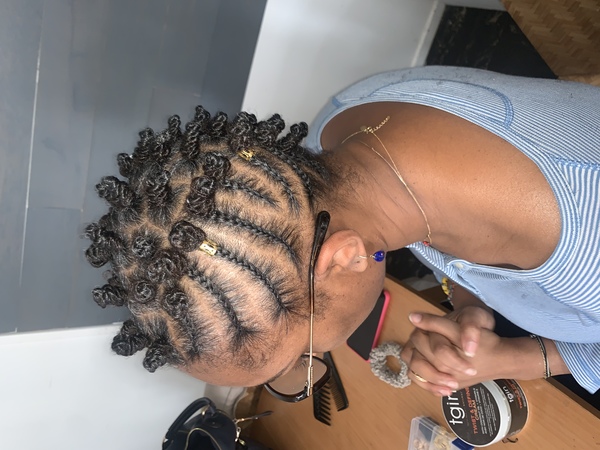 salon de coiffure afro tresse tresses box braids crochet braids vanilles tissages paris 75 77 78 91 92 93 94 95 EQKLBFJS