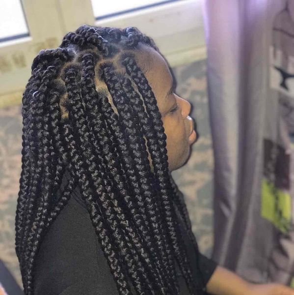 salon de coiffure afro tresse tresses box braids crochet braids vanilles tissages paris 75 77 78 91 92 93 94 95 LMRNYBIR