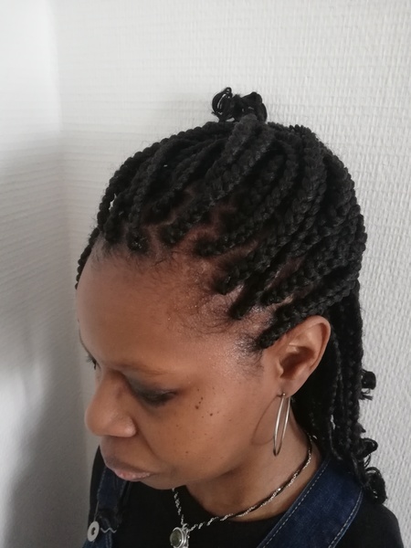 salon de coiffure afro tresse tresses box braids crochet braids vanilles tissages paris 75 77 78 91 92 93 94 95 FTVYUGJX