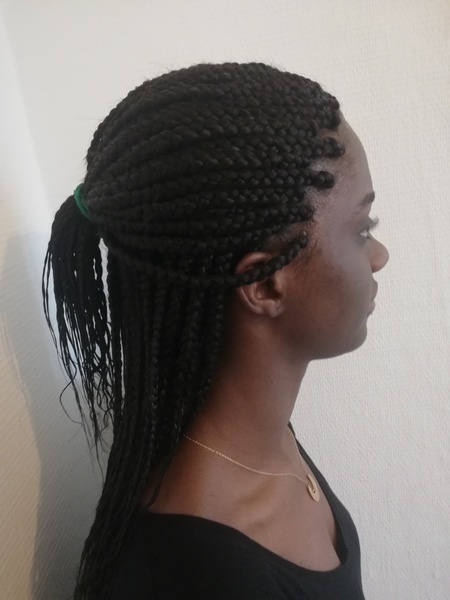 salon de coiffure afro tresse tresses box braids crochet braids vanilles tissages paris 75 77 78 91 92 93 94 95 GBIHAAJQ