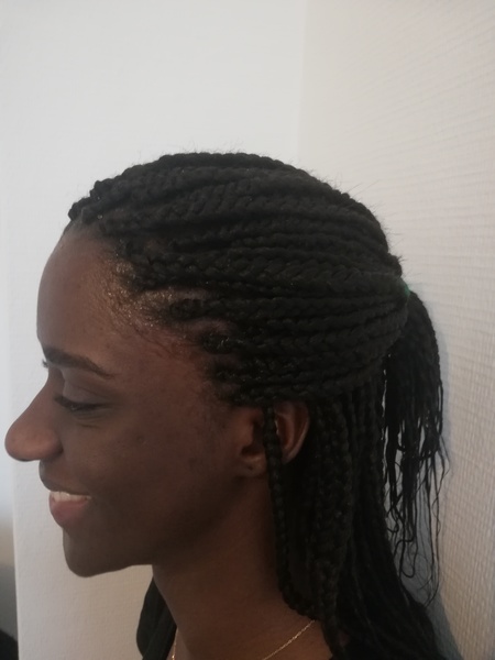 salon de coiffure afro tresse tresses box braids crochet braids vanilles tissages paris 75 77 78 91 92 93 94 95 NQHDKGEF