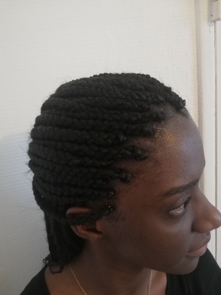 salon de coiffure afro tresse tresses box braids crochet braids vanilles tissages paris 75 77 78 91 92 93 94 95 NFAEKDIX