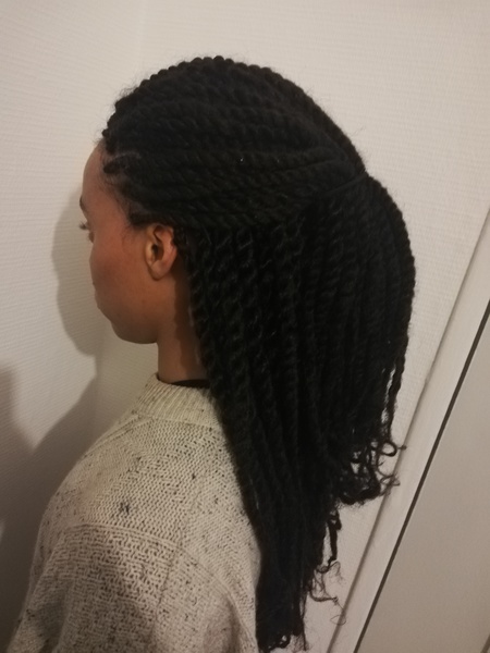 salon de coiffure afro tresse tresses box braids crochet braids vanilles tissages paris 75 77 78 91 92 93 94 95 CDWWIQYC