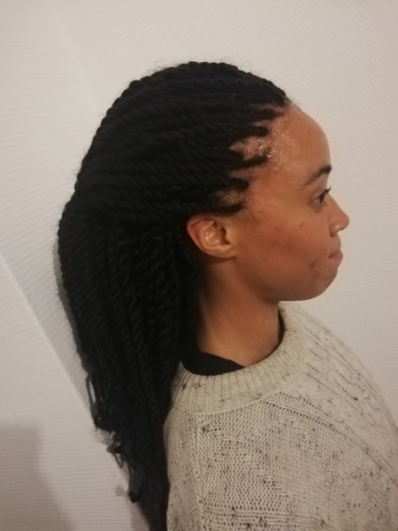 salon de coiffure afro tresse tresses box braids crochet braids vanilles tissages paris 75 77 78 91 92 93 94 95 EAGIJOZD