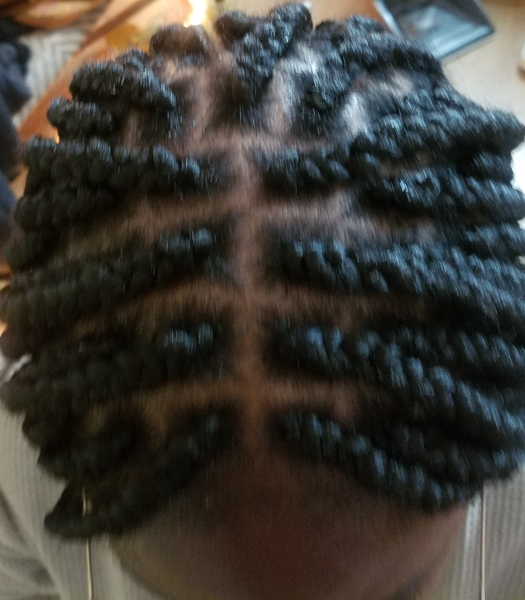 salon de coiffure afro tresse tresses box braids crochet braids vanilles tissages paris 75 77 78 91 92 93 94 95 DIKNYOJM