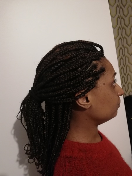 salon de coiffure afro tresse tresses box braids crochet braids vanilles tissages paris 75 77 78 91 92 93 94 95 JUOXPHMW