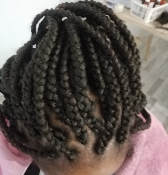 salon de coiffure afro tresse tresses box braids crochet braids vanilles tissages paris 75 77 78 91 92 93 94 95 QNAZGTPX