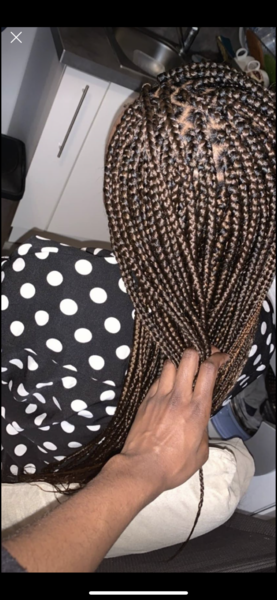 salon de coiffure afro tresse tresses box braids crochet braids vanilles tissages paris 75 77 78 91 92 93 94 95 RKQQUVRV