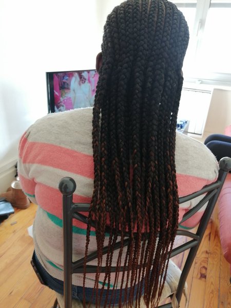 salon de coiffure afro tresse tresses box braids crochet braids vanilles tissages paris 75 77 78 91 92 93 94 95 DXHDKQBM