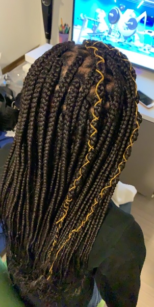 salon de coiffure afro tresse tresses box braids crochet braids vanilles tissages paris 75 77 78 91 92 93 94 95 PFYQYSJU