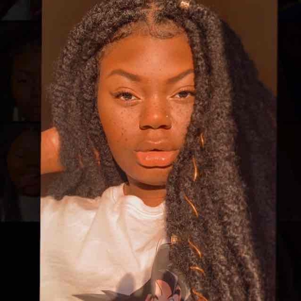 salon de coiffure afro tresse tresses box braids crochet braids vanilles tissages paris 75 77 78 91 92 93 94 95 KWASYQZQ