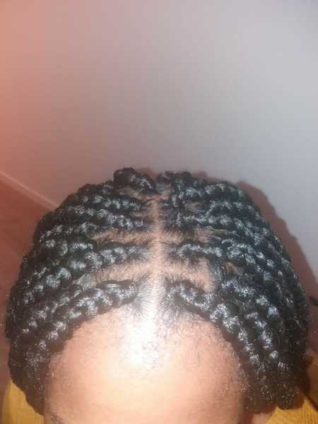 salon de coiffure afro tresse tresses box braids crochet braids vanilles tissages paris 75 77 78 91 92 93 94 95 DPHAKJIV