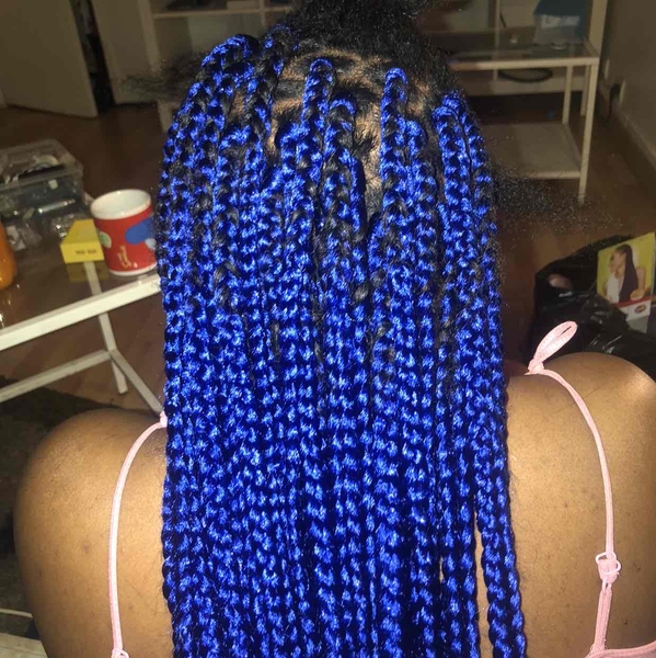 salon de coiffure afro tresse tresses box braids crochet braids vanilles tissages paris 75 77 78 91 92 93 94 95 NQPULPPT