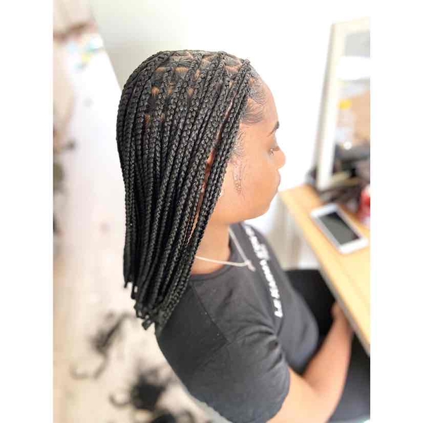 salon de coiffure afro tresse tresses box braids crochet braids vanilles tissages paris 75 77 78 91 92 93 94 95 SRTMOPBK