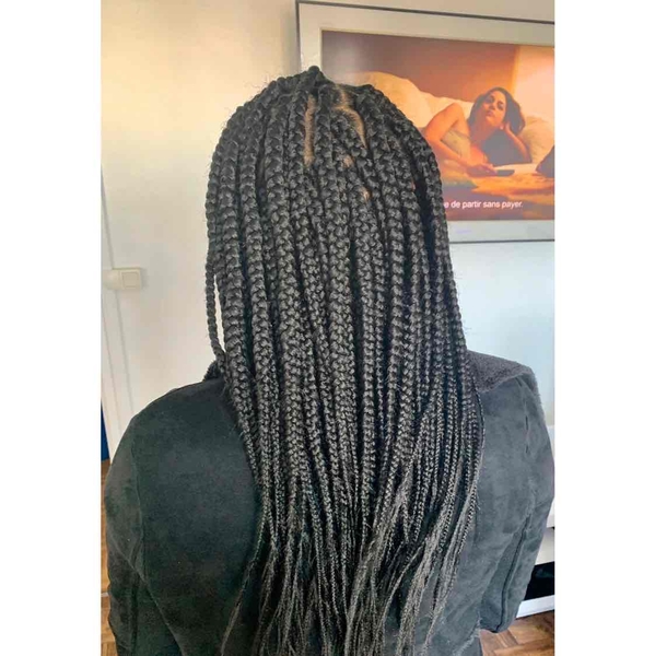 salon de coiffure afro tresse tresses box braids crochet braids vanilles tissages paris 75 77 78 91 92 93 94 95 ZRNELNHH