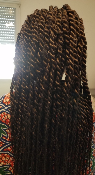 salon de coiffure afro tresse tresses box braids crochet braids vanilles tissages paris 75 77 78 91 92 93 94 95 ZDWYXAIZ
