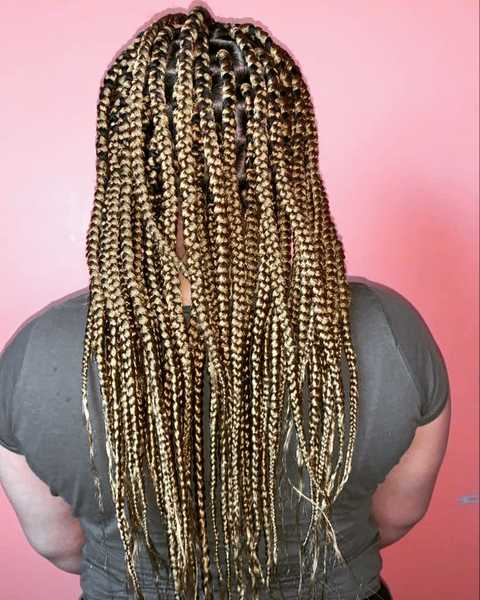 salon de coiffure afro tresse tresses box braids crochet braids vanilles tissages paris 75 77 78 91 92 93 94 95 BFXJRHID