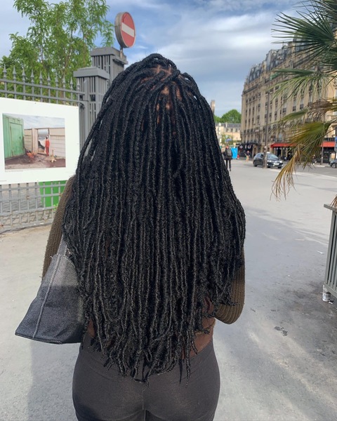 salon de coiffure afro tresse tresses box braids crochet braids vanilles tissages paris 75 77 78 91 92 93 94 95 UVXJMWFA