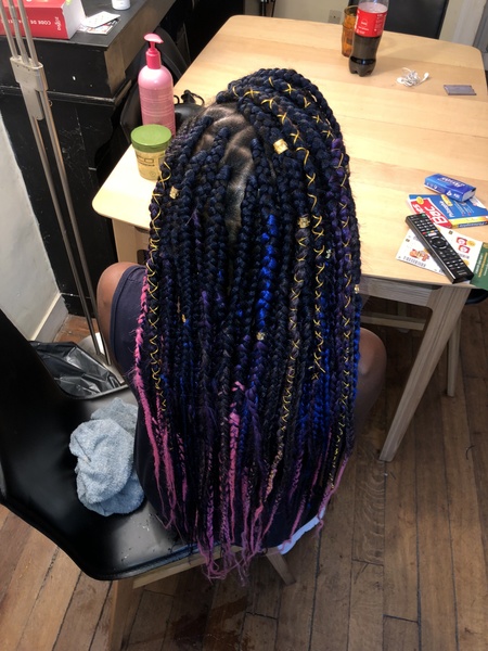 salon de coiffure afro tresse tresses box braids crochet braids vanilles tissages paris 75 77 78 91 92 93 94 95 FWDORYTQ