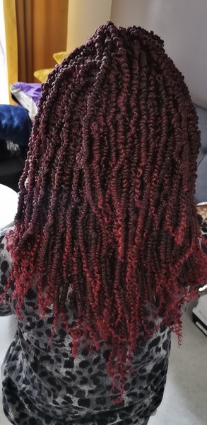 salon de coiffure afro tresse tresses box braids crochet braids vanilles tissages paris 75 77 78 91 92 93 94 95 TADCMHGC
