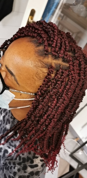 salon de coiffure afro tresse tresses box braids crochet braids vanilles tissages paris 75 77 78 91 92 93 94 95 SYBBYQQP