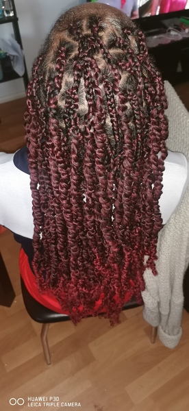 salon de coiffure afro tresse tresses box braids crochet braids vanilles tissages paris 75 77 78 91 92 93 94 95 FXULIOOM