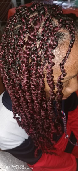 salon de coiffure afro tresse tresses box braids crochet braids vanilles tissages paris 75 77 78 91 92 93 94 95 GOELJVUU