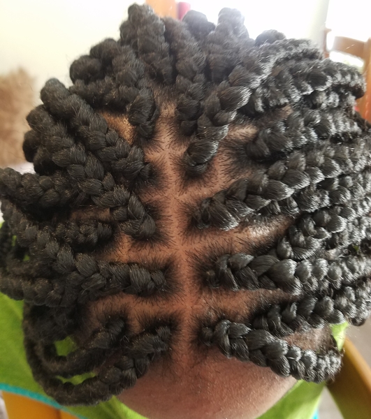 salon de coiffure afro tresse tresses box braids crochet braids vanilles tissages paris 75 77 78 91 92 93 94 95 RBACQAQG