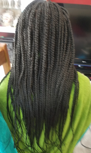 salon de coiffure afro tresse tresses box braids crochet braids vanilles tissages paris 75 77 78 91 92 93 94 95 XNNDZPEU