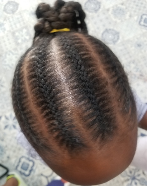 salon de coiffure afro tresse tresses box braids crochet braids vanilles tissages paris 75 77 78 91 92 93 94 95 ORQUDDYJ