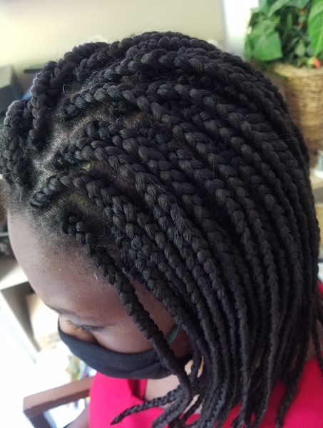 salon de coiffure afro tresse tresses box braids crochet braids vanilles tissages paris 75 77 78 91 92 93 94 95 MKCTNTBF