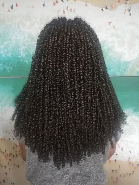 salon de coiffure afro tresse tresses box braids crochet braids vanilles tissages paris 75 77 78 91 92 93 94 95 LXSLCKIH
