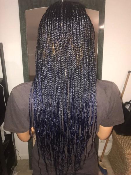 salon de coiffure afro tresse tresses box braids crochet braids vanilles tissages paris 75 77 78 91 92 93 94 95 INWNMKRR