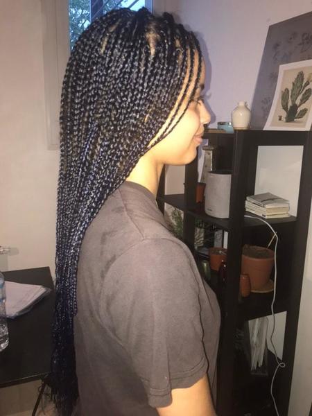 salon de coiffure afro tresse tresses box braids crochet braids vanilles tissages paris 75 77 78 91 92 93 94 95 JVXSGKDV