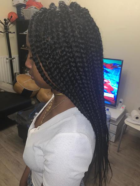 salon de coiffure afro tresse tresses box braids crochet braids vanilles tissages paris 75 77 78 91 92 93 94 95 XMSRVXPL