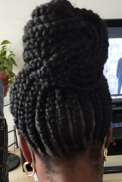 salon de coiffure afro tresse tresses box braids crochet braids vanilles tissages paris 75 77 78 91 92 93 94 95 GSULWIUN