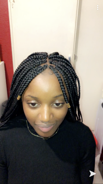 salon de coiffure afro tresse tresses box braids crochet braids vanilles tissages paris 75 77 78 91 92 93 94 95 HYVDVKSP