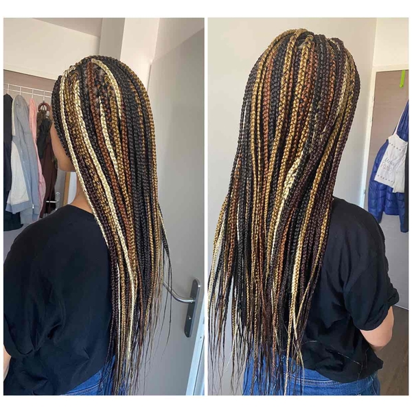 salon de coiffure afro tresse tresses box braids crochet braids vanilles tissages paris 75 77 78 91 92 93 94 95 EYGNTCPJ