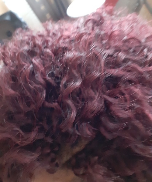 salon de coiffure afro tresse tresses box braids crochet braids vanilles tissages paris 75 77 78 91 92 93 94 95 ZYQEDKBX
